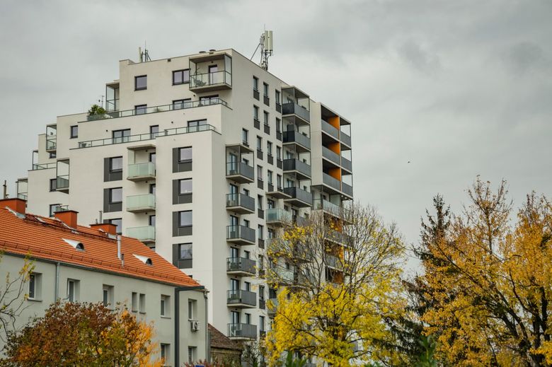 Как выглядит новый технический паспорт: структура и ключевые разделы